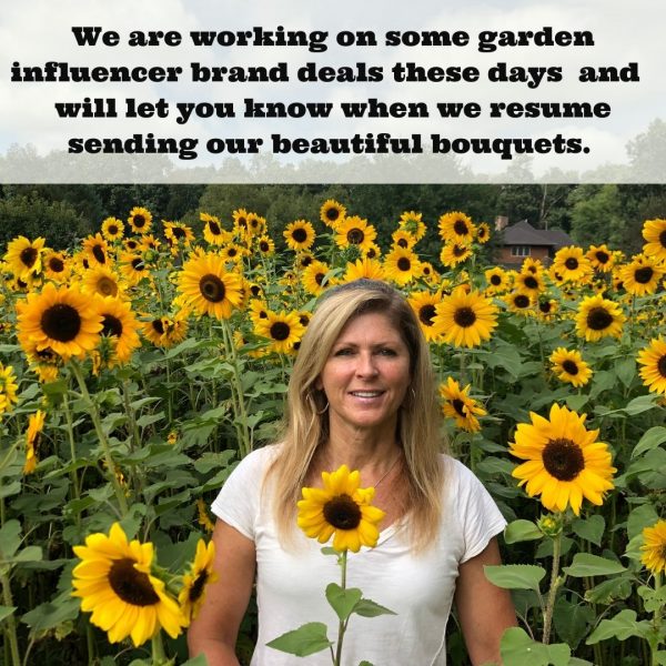 2. We are working on some garden influencer brand deals these days and will let you know when we resume sending our beautifull bouquets.
